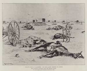 Cronjes stand ved Paardeberg, Boer Laager, vraket av Lyddite
